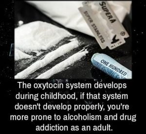 oxytocin system