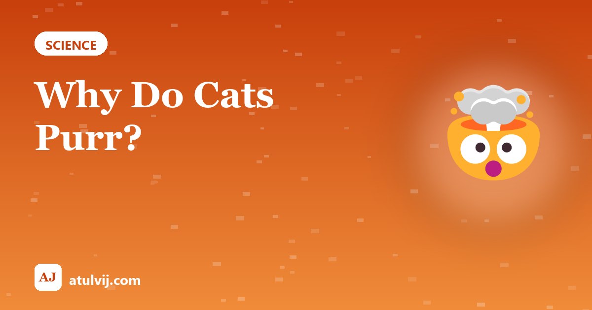 Why Do Cats Purr? 1